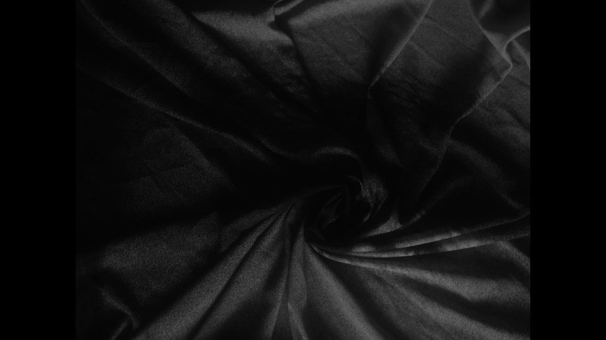 Insemnopedy I: The Dream of Victor F.