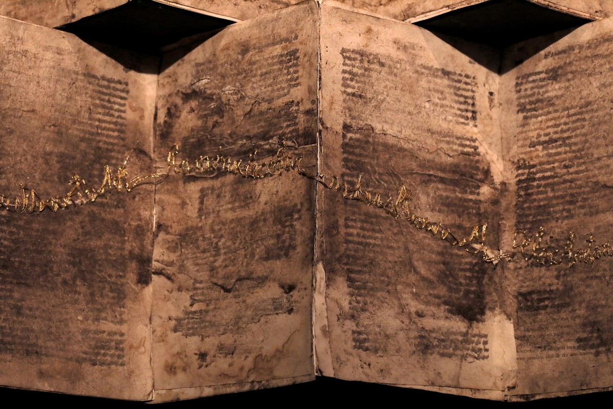 Resiliencia (Résilience)