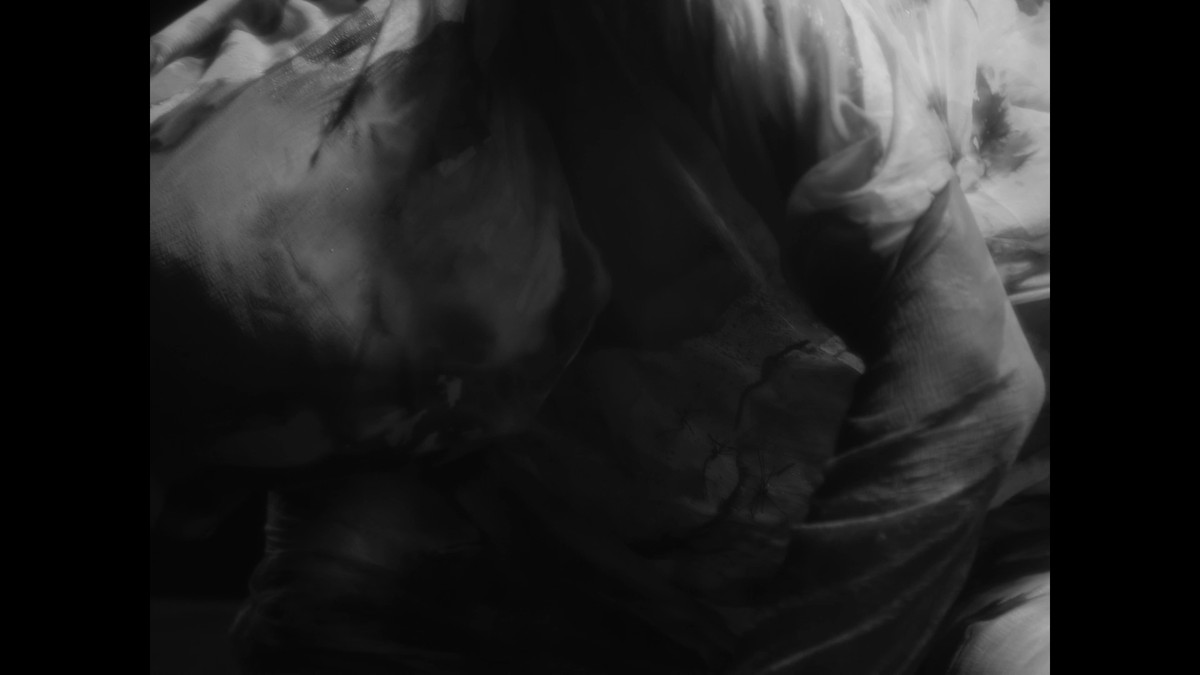 Insemnopedy I: The Dream of Victor F.