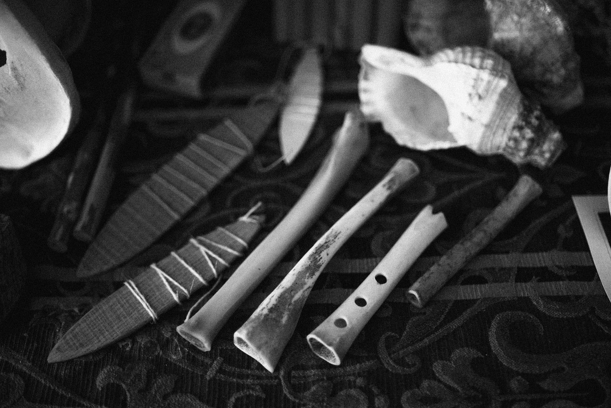 D’après le Jardin