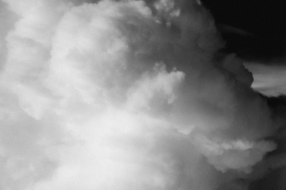 D’après le Jardin