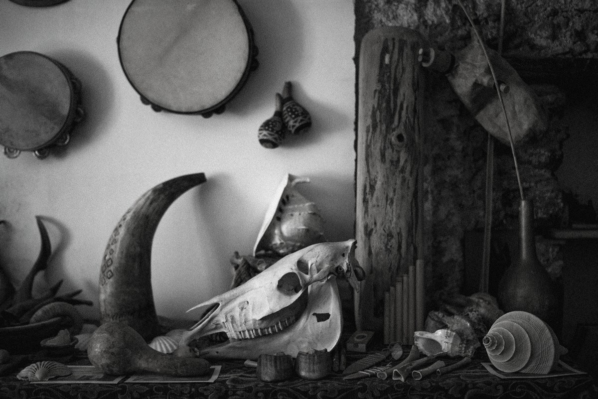 D’après le Jardin