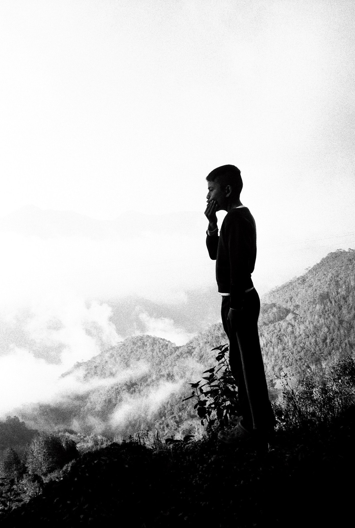 D’après le Jardin