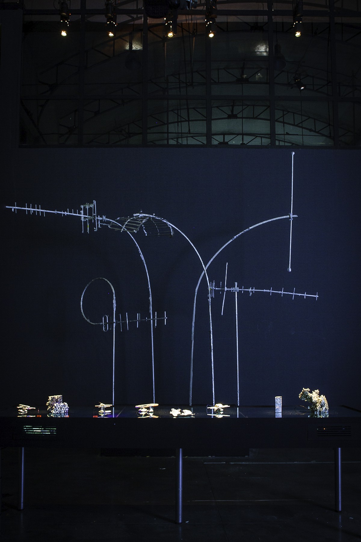 Werviqaceae / Antenne botanique