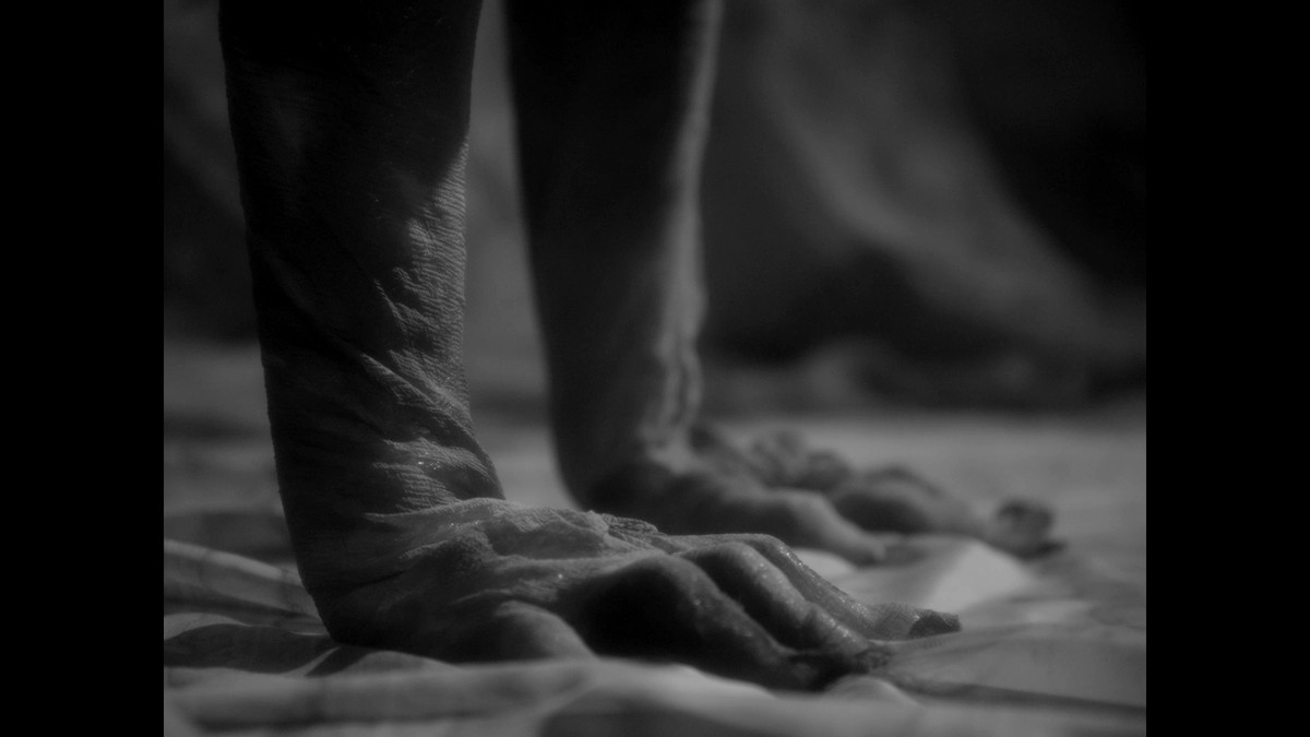 Insemnopedy I: The Dream of Victor F.