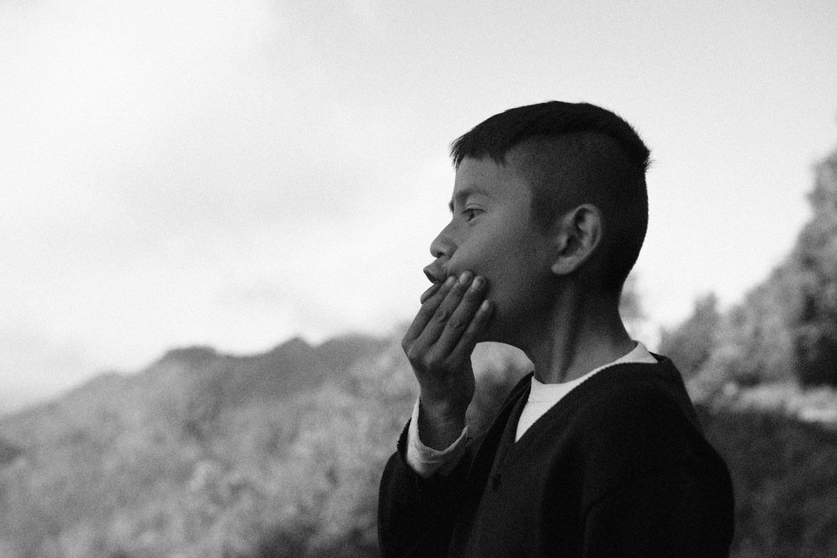 D’après le Jardin