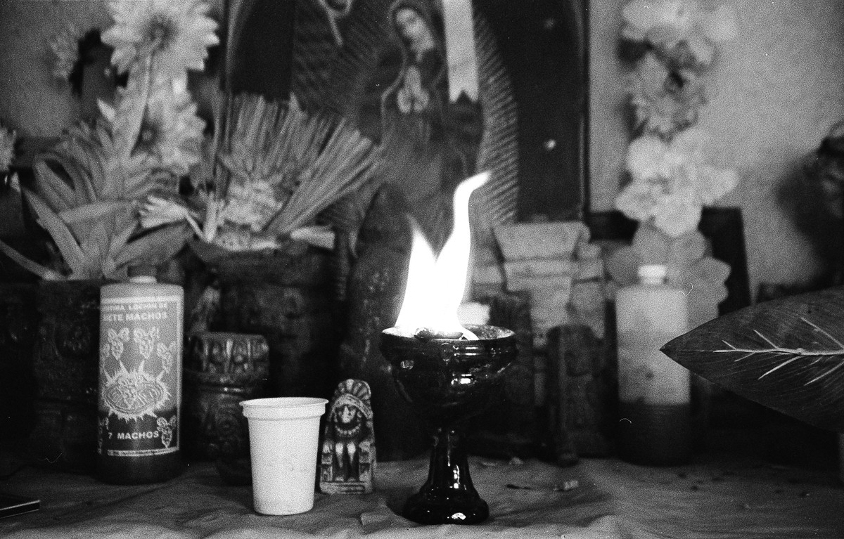 D’après le Jardin