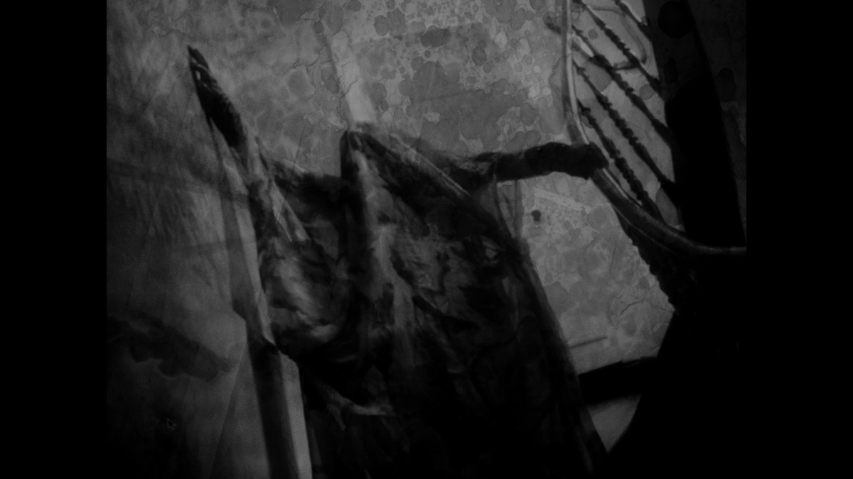 Insemnopedy I: The Dream of Victor F.