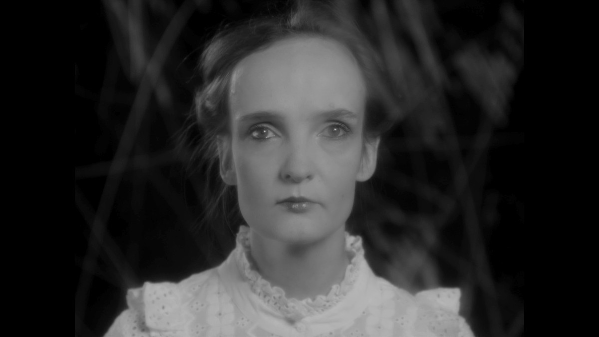 Insemnopedy I: The Dream of Victor F.