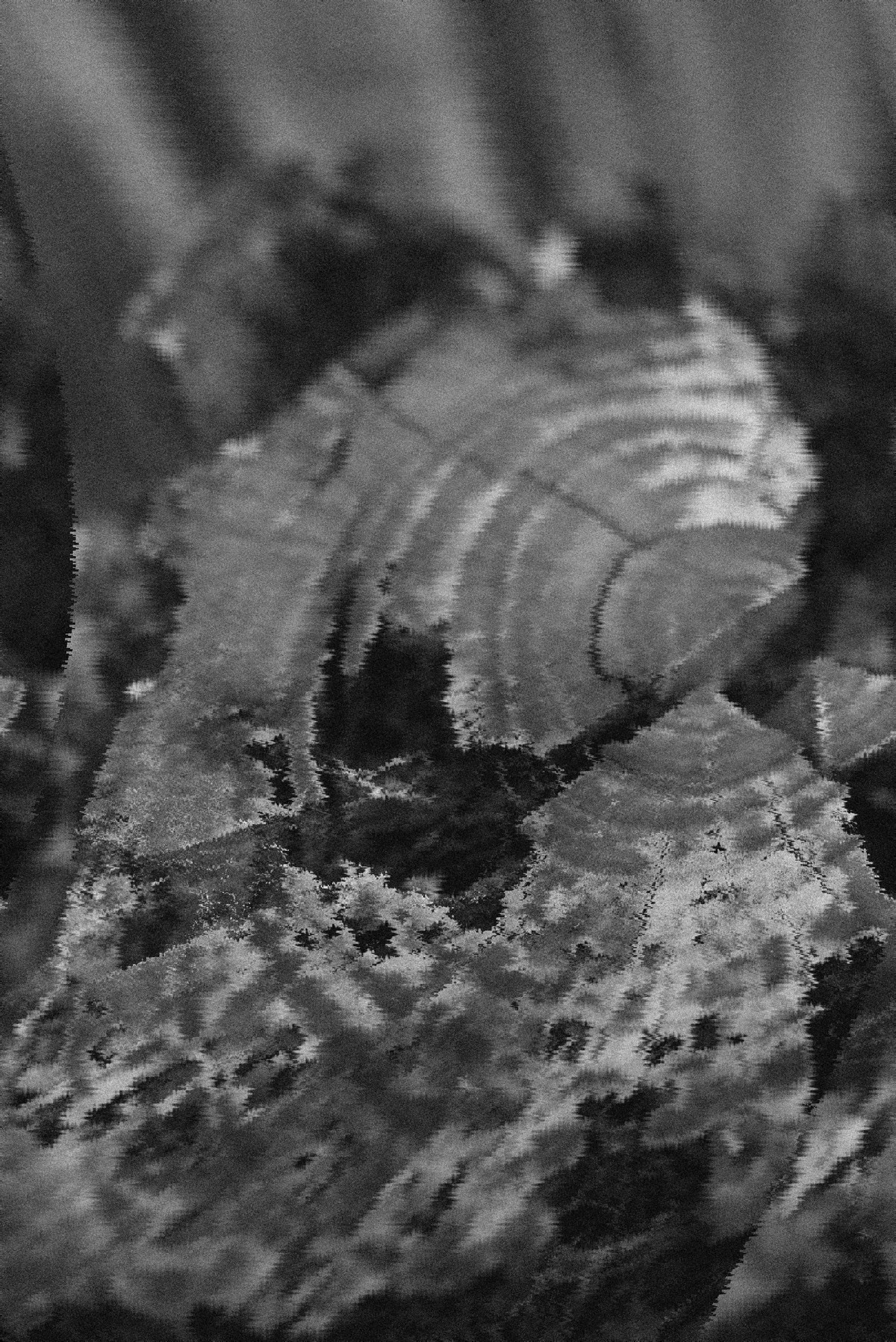 D’après le Jardin