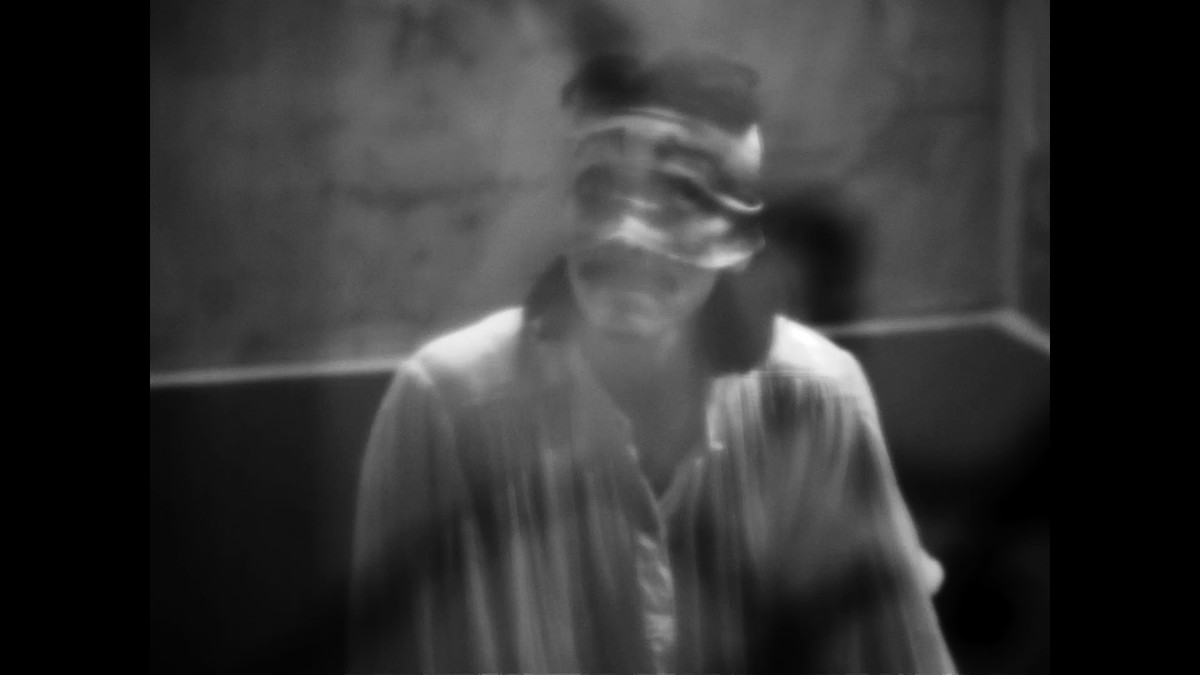 Insemnopedy I: The Dream of Victor F.