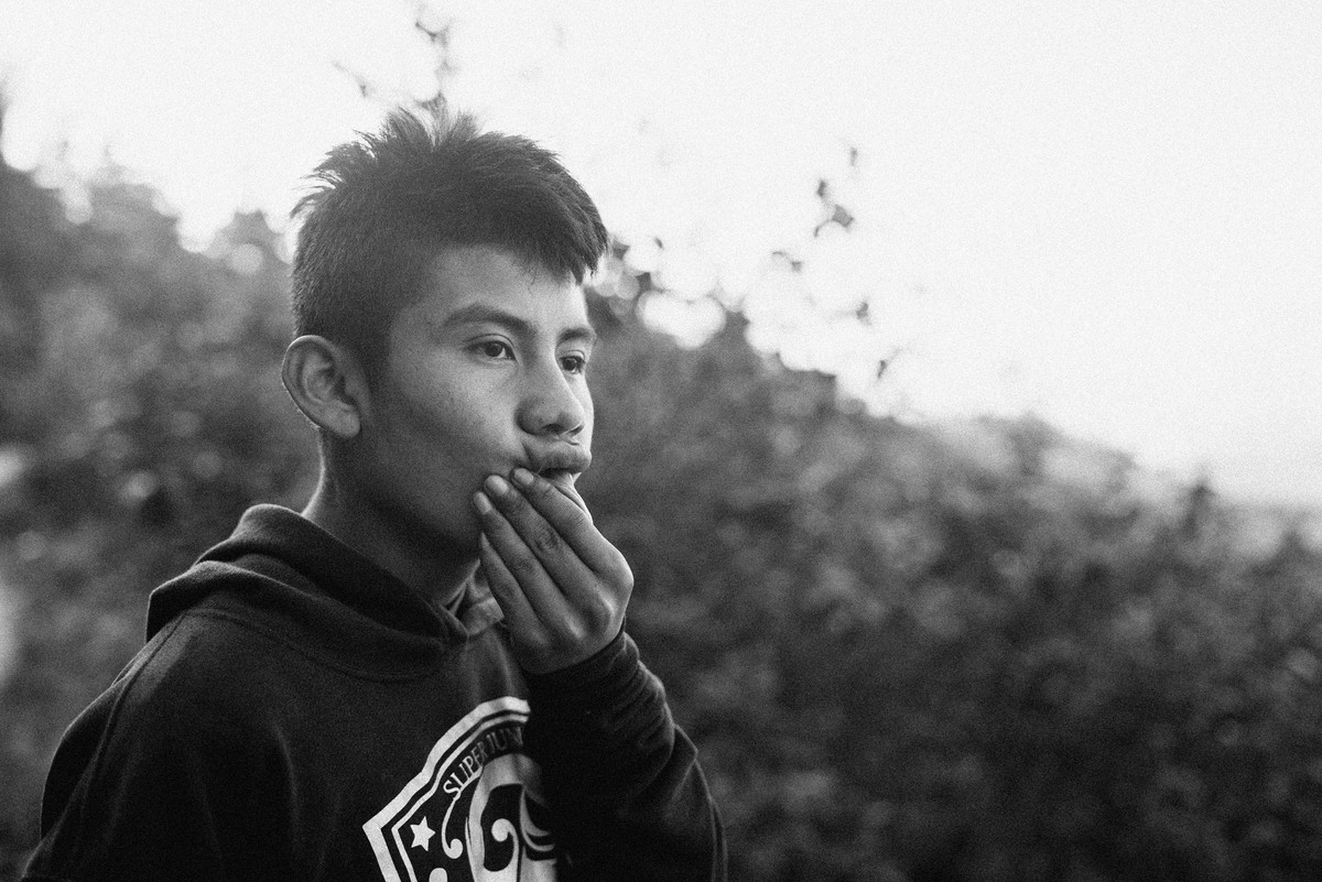 D’après le Jardin