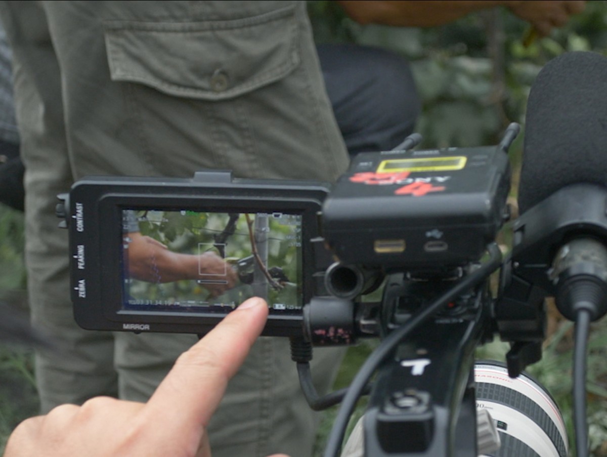 Nouvelles de la Capitale d’antimoine