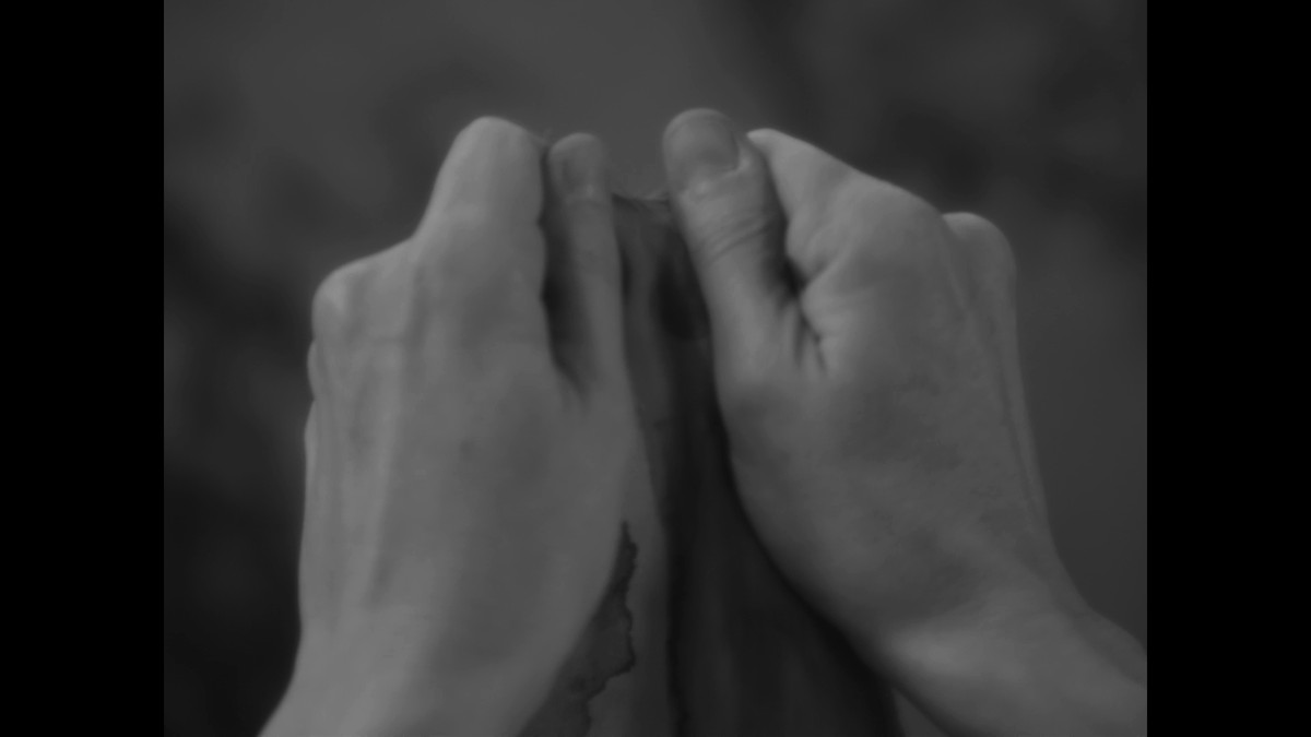 Insemnopedy I: The Dream of Victor F.