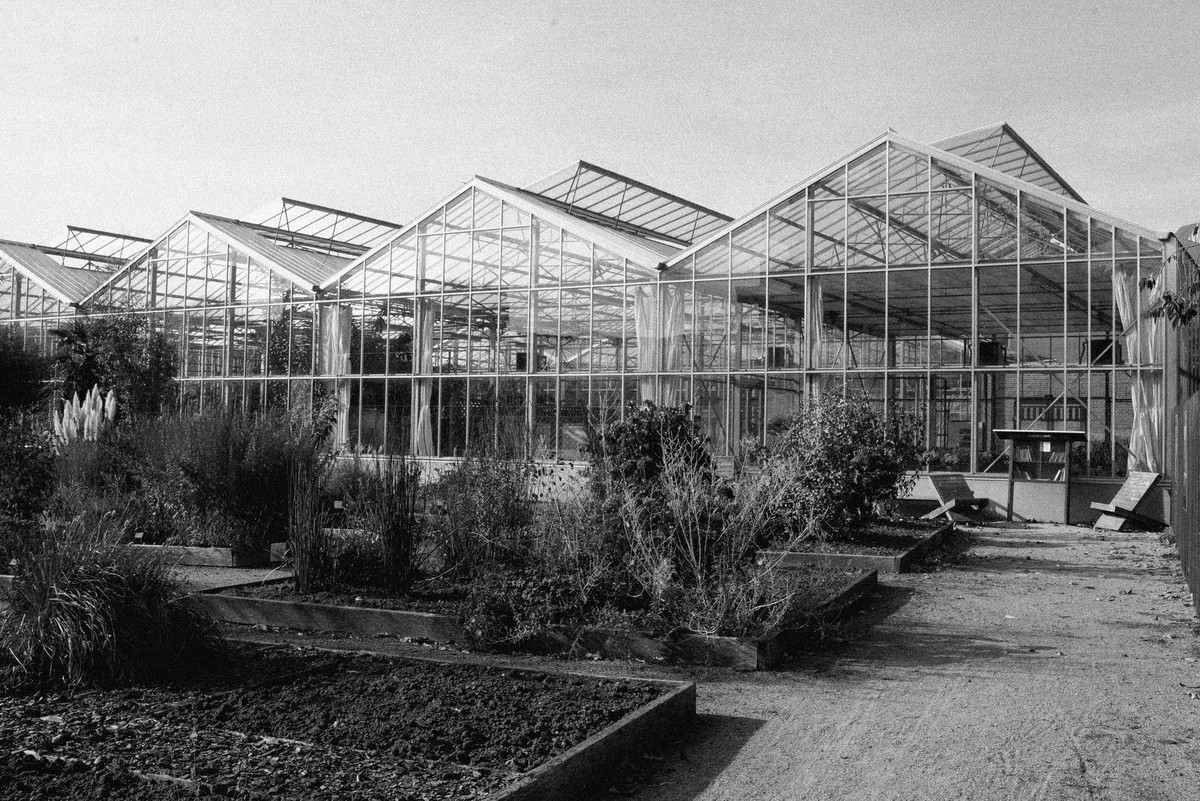 D’après le Jardin