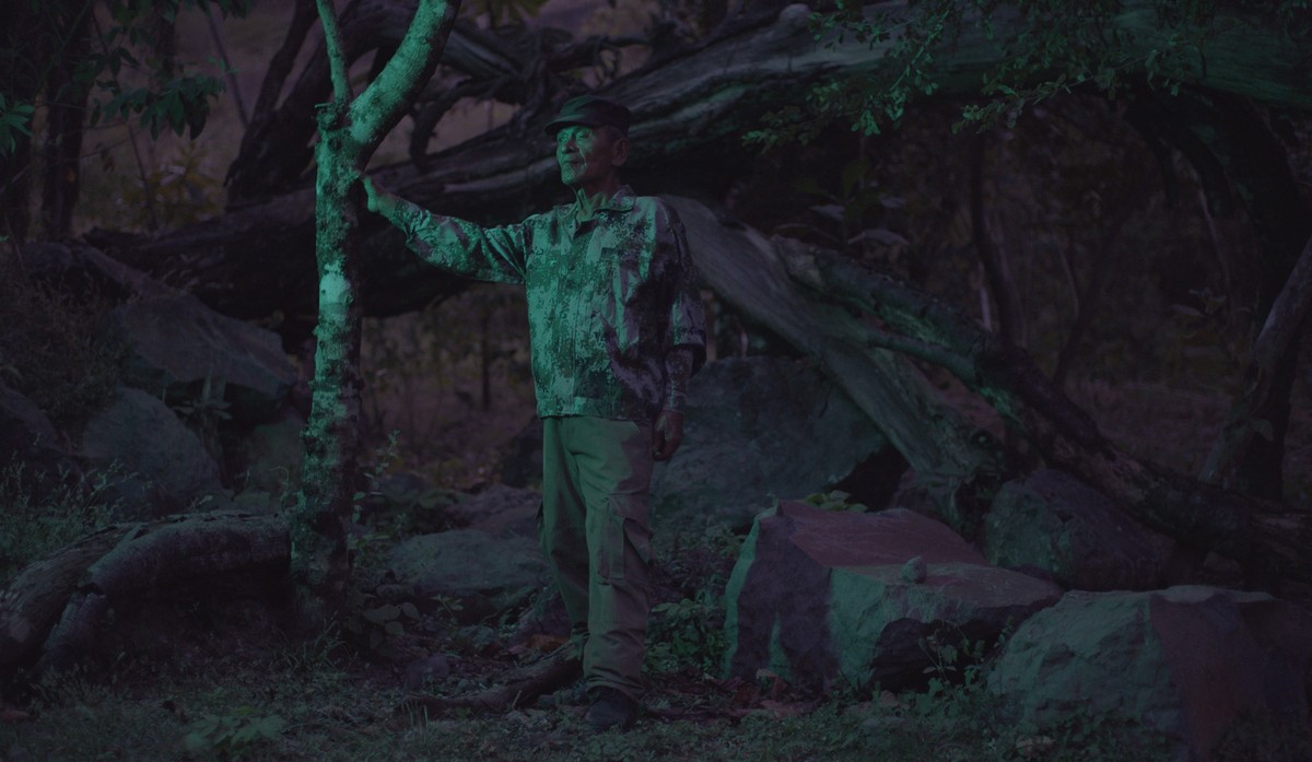 A Love Song in Spanish