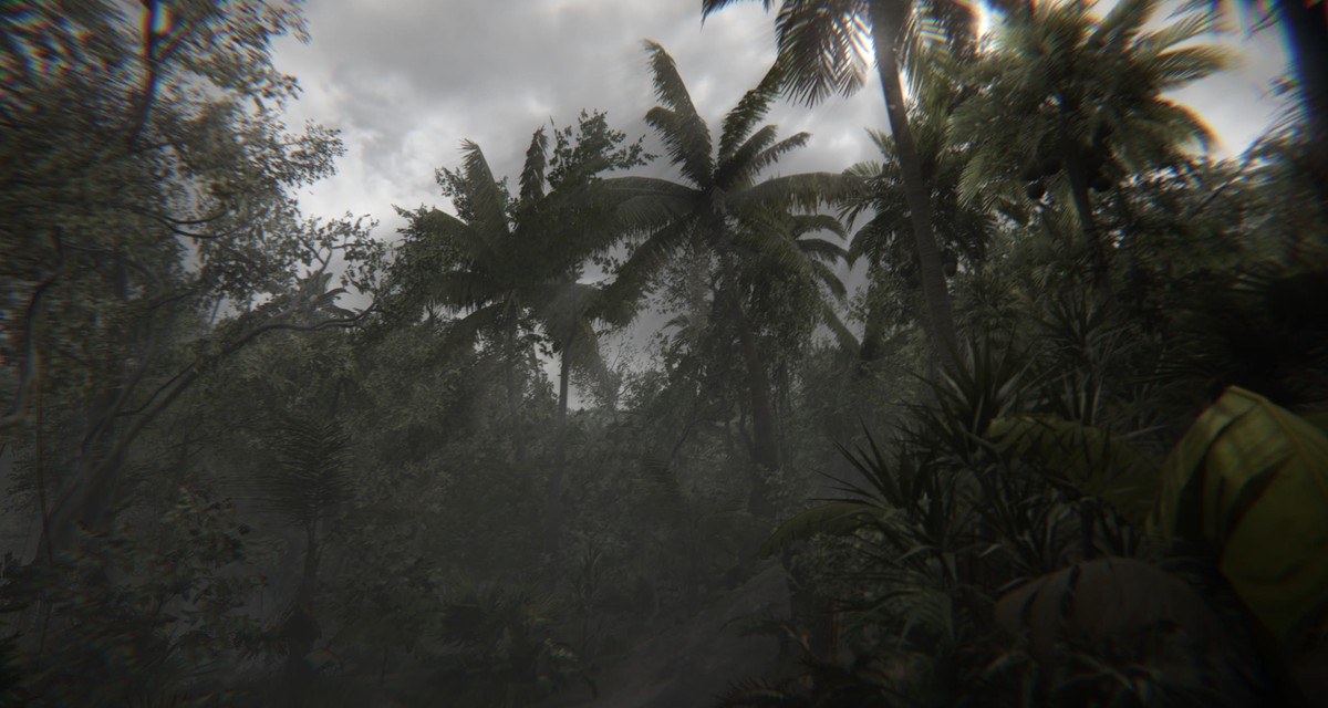 When the sea sends forth a forest