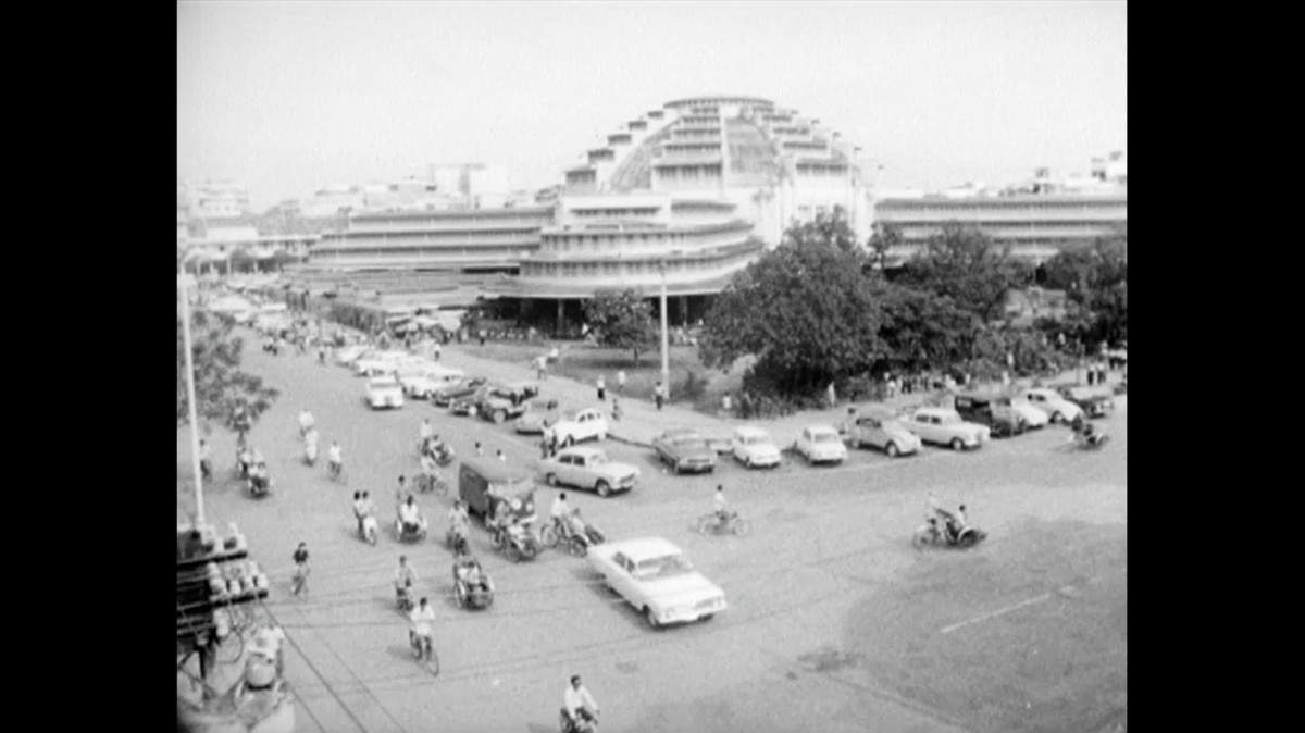 When the sea sends forth a forest