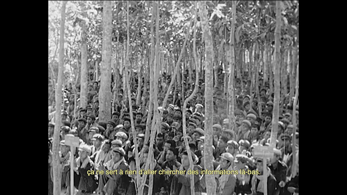 When the sea sends forth a forest