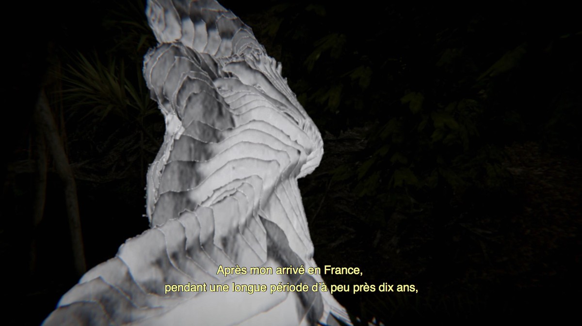 When the sea sends forth a forest