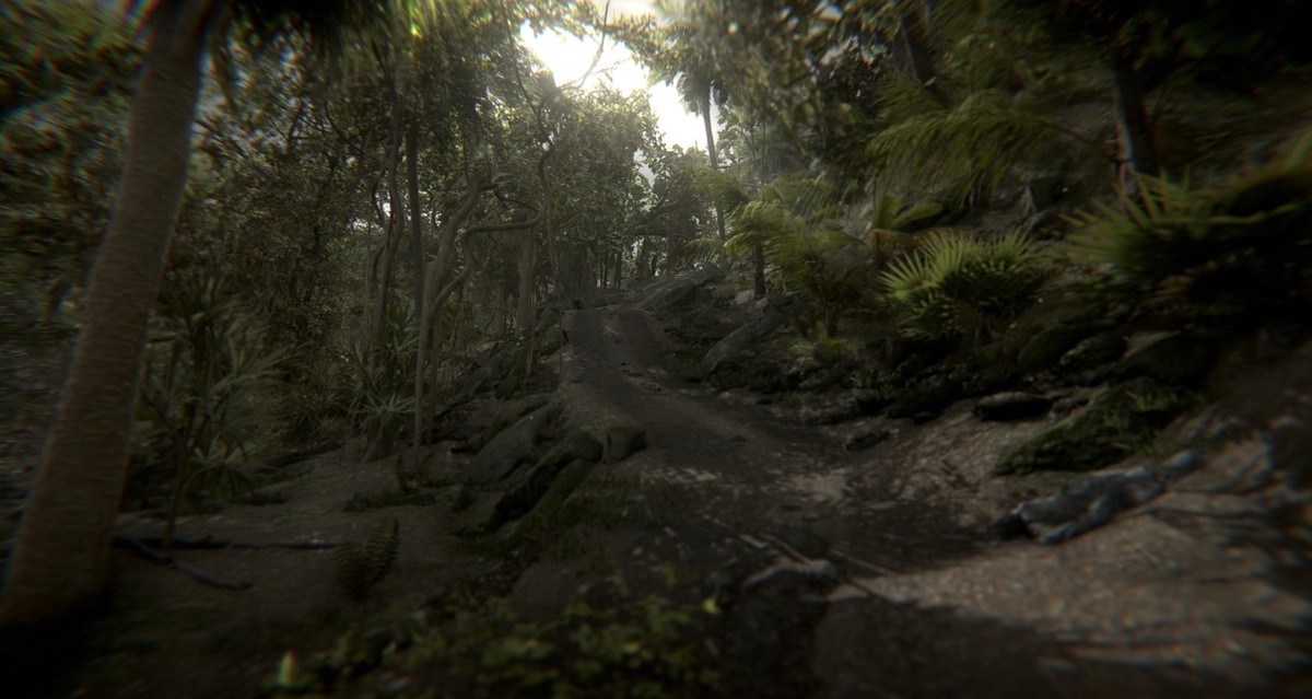 When the sea sends forth a forest