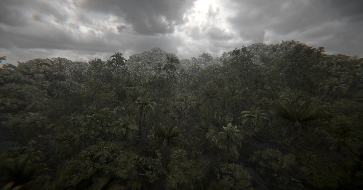 When the sea sends forth a forest