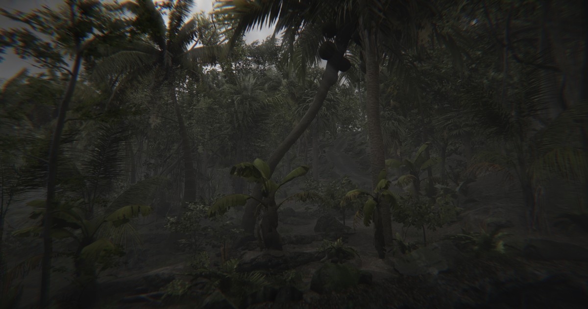 When the sea sends forth a forest