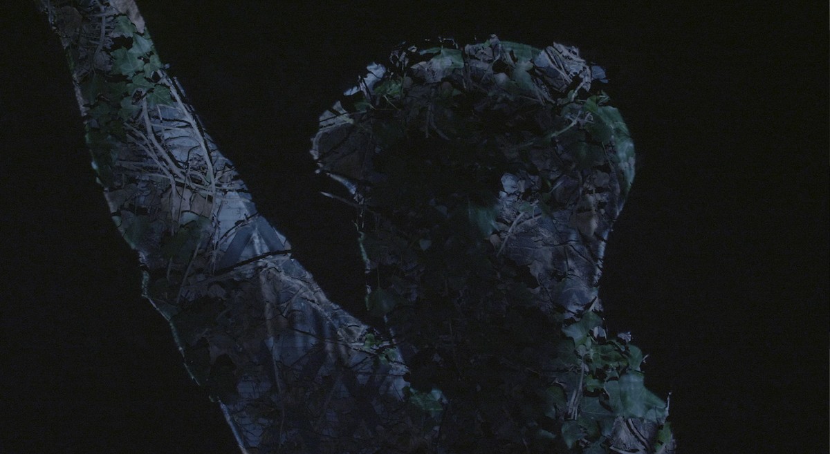 When the sea sends forth a forest