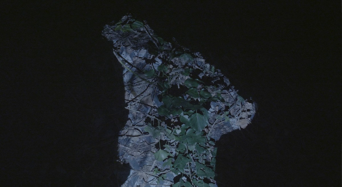 When the sea sends forth a forest