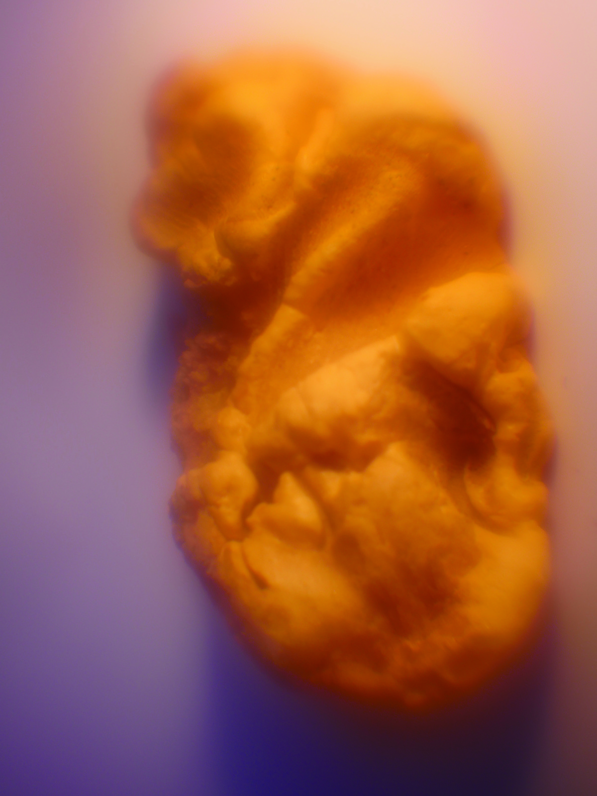 Les liminaux / Métamorphose de l’être en sa vision