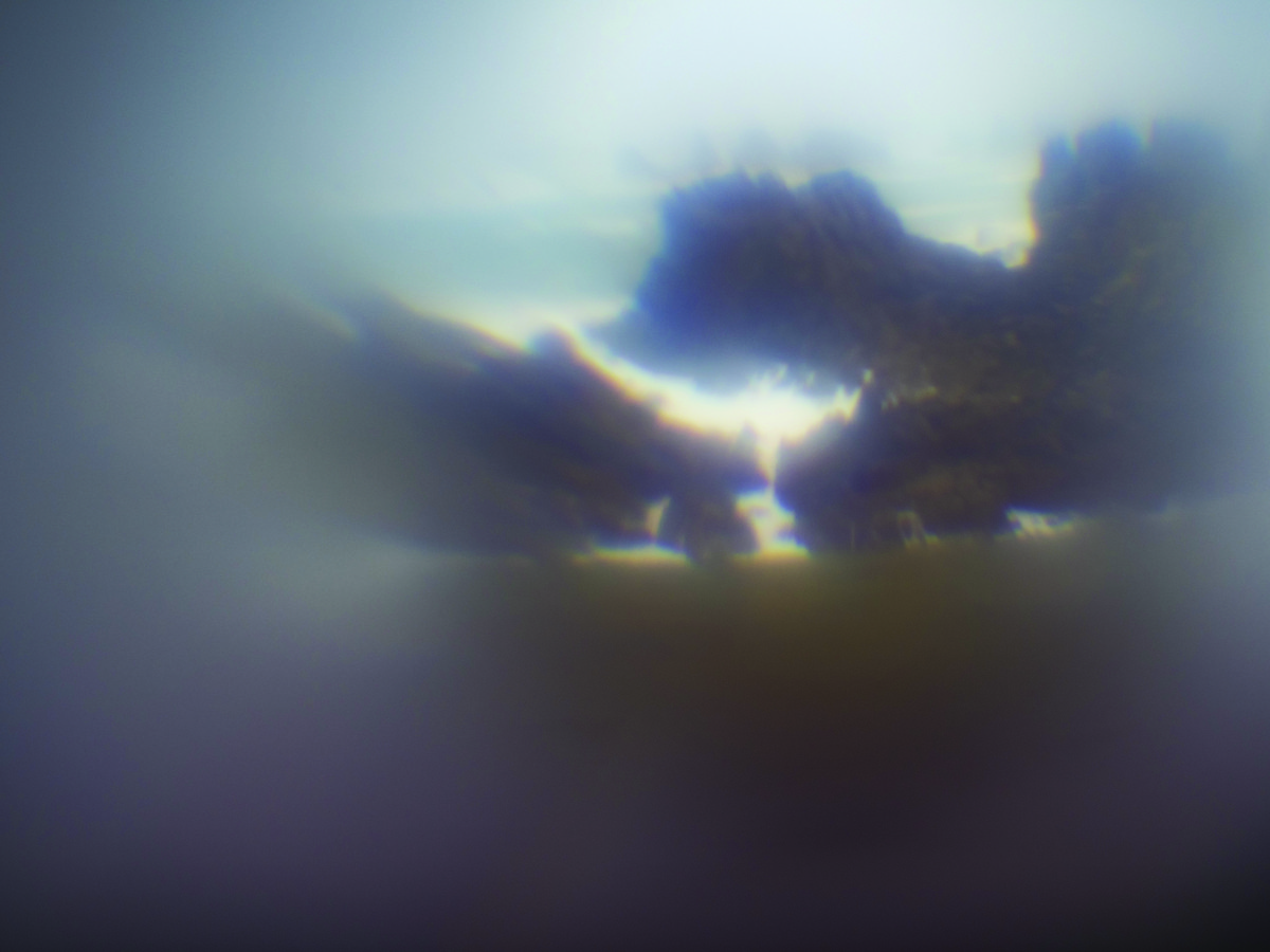 Les liminaux / Métamorphose de l’être en sa vision