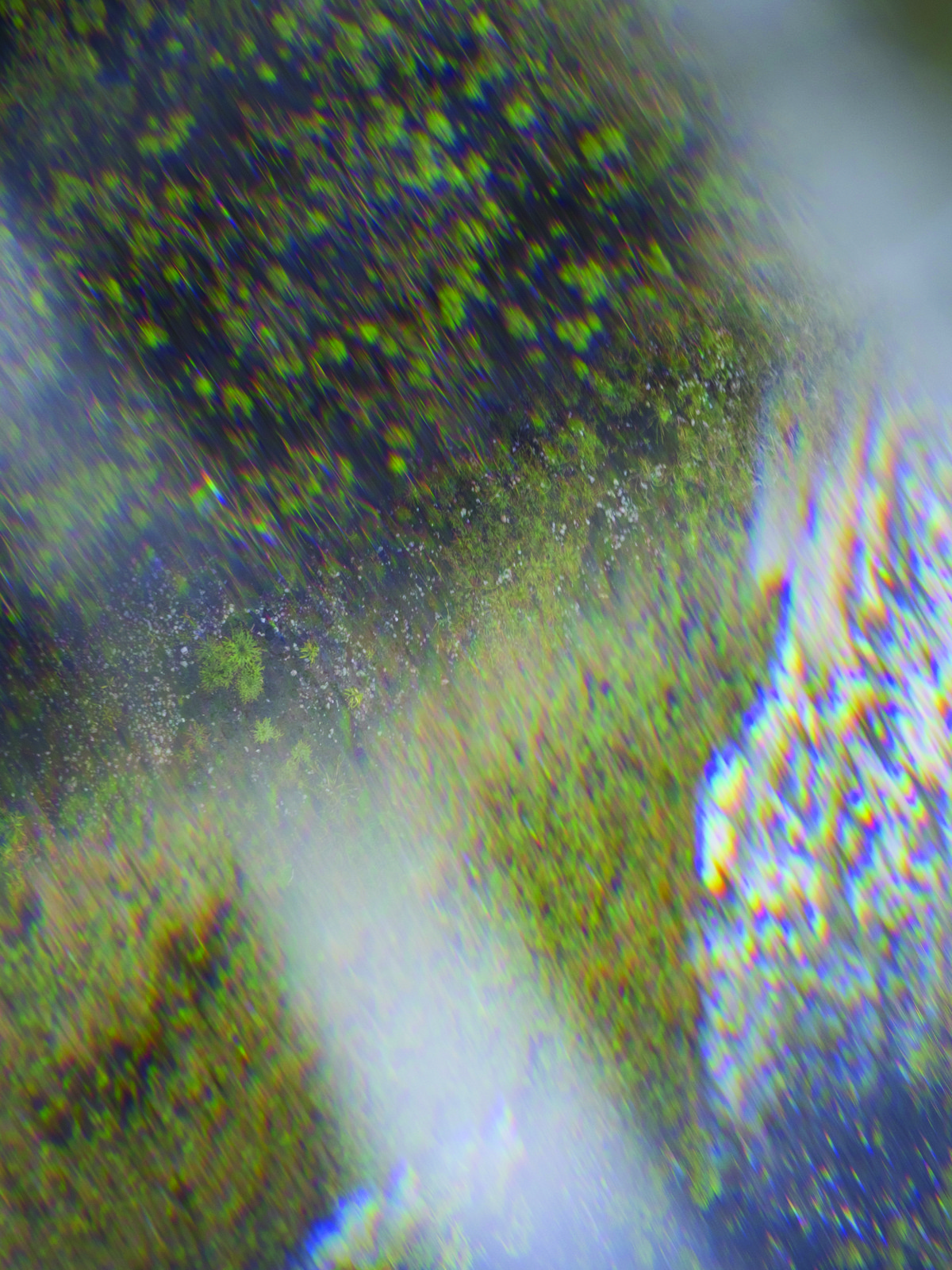 Les liminaux / Métamorphose de l’être en sa vision