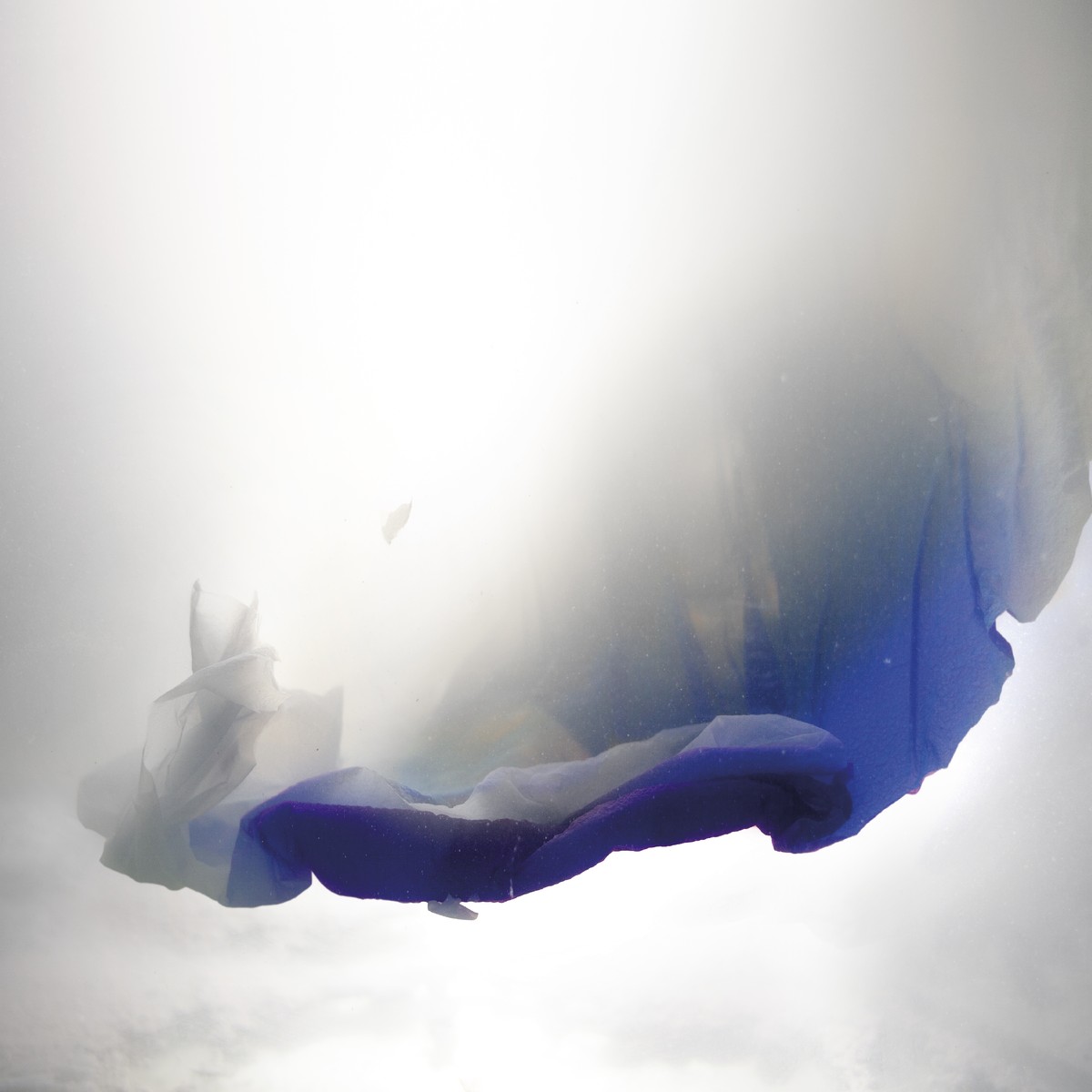 Quelques gouttes d'éternité