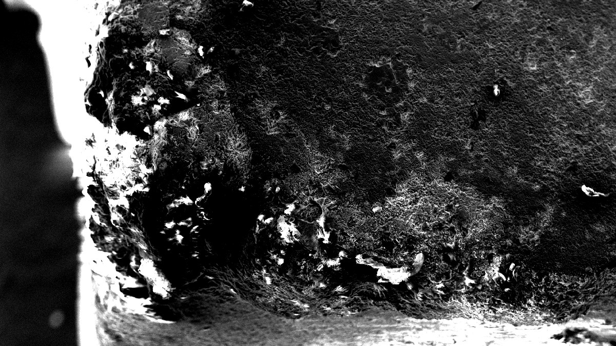 Misurgia Sisitlallan