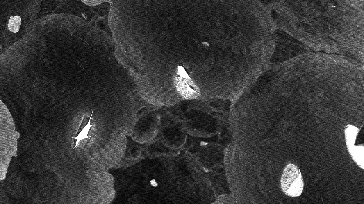 Misurgia Sisitlallan