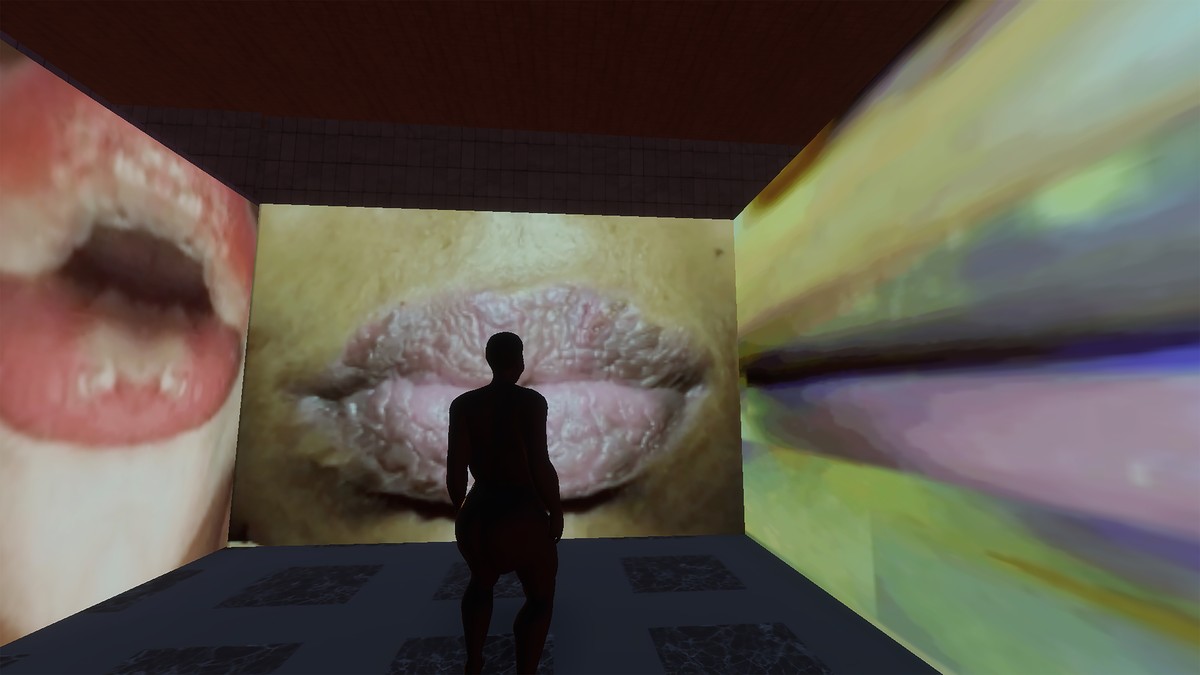 Vénus / Saartjie Baartman et ses organes