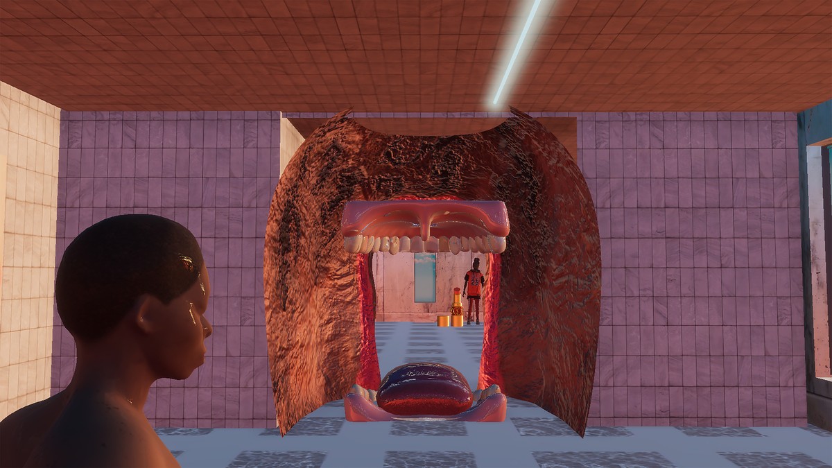 Vénus / Saartjie Baartman et ses organes