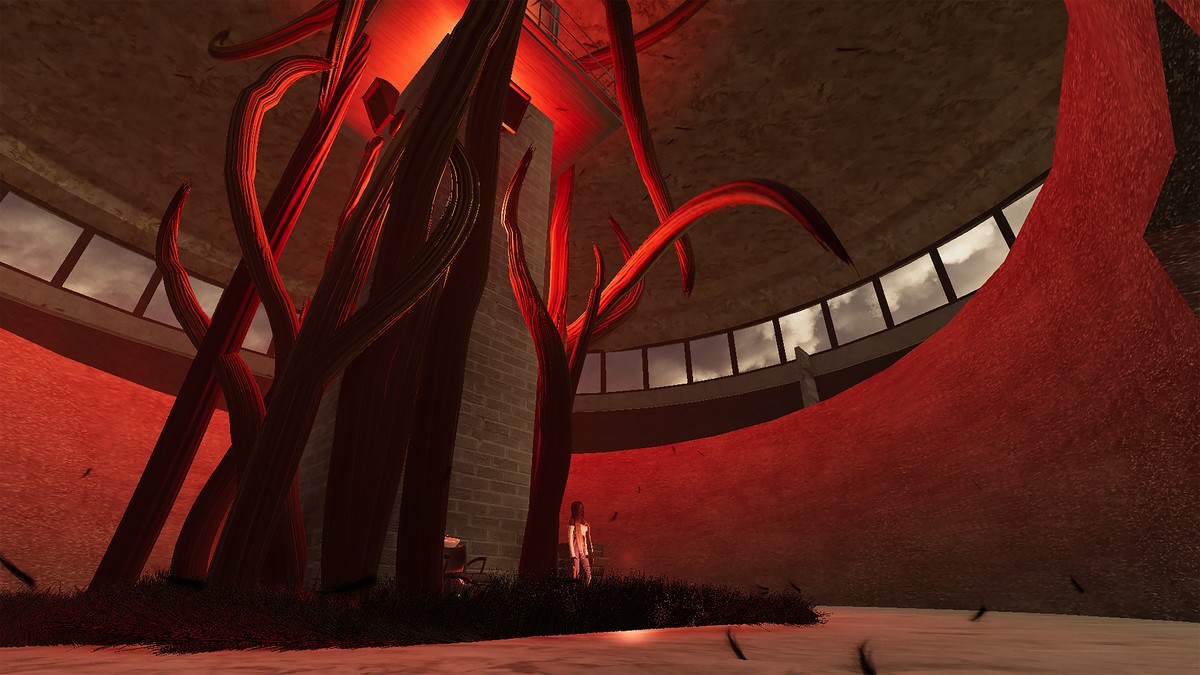 Vénus / Saartjie Baartman et ses organes