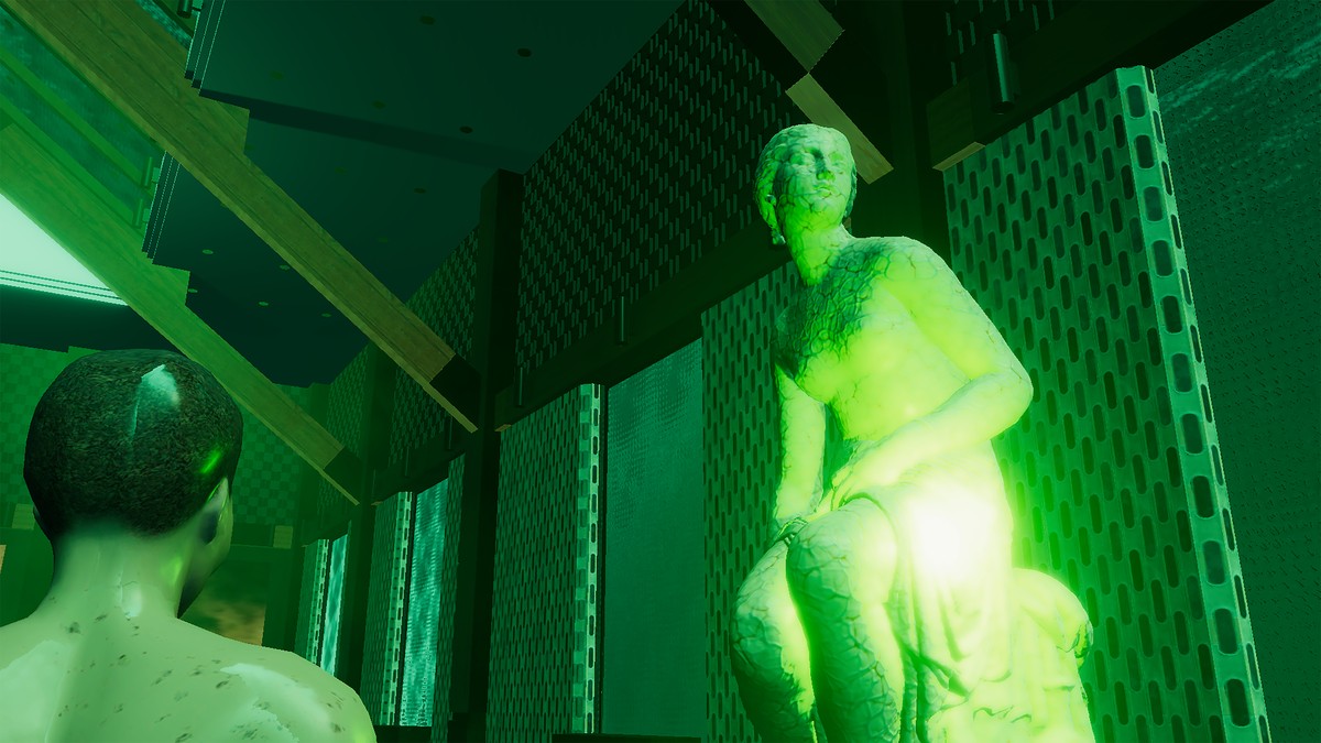 Vénus / Saartjie Baartman et ses organes