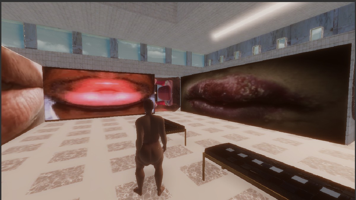 Vénus / Saartjie Baartman et ses organes