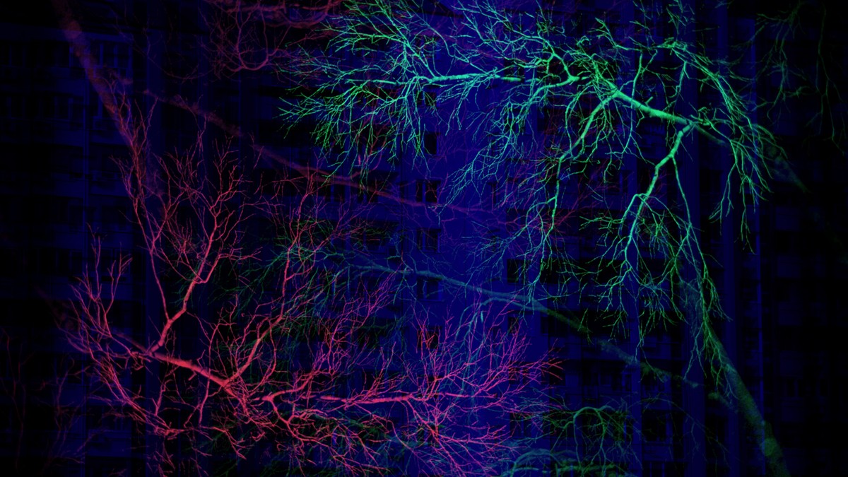 Monument aux arbres tombés / Monument to the fallen trees