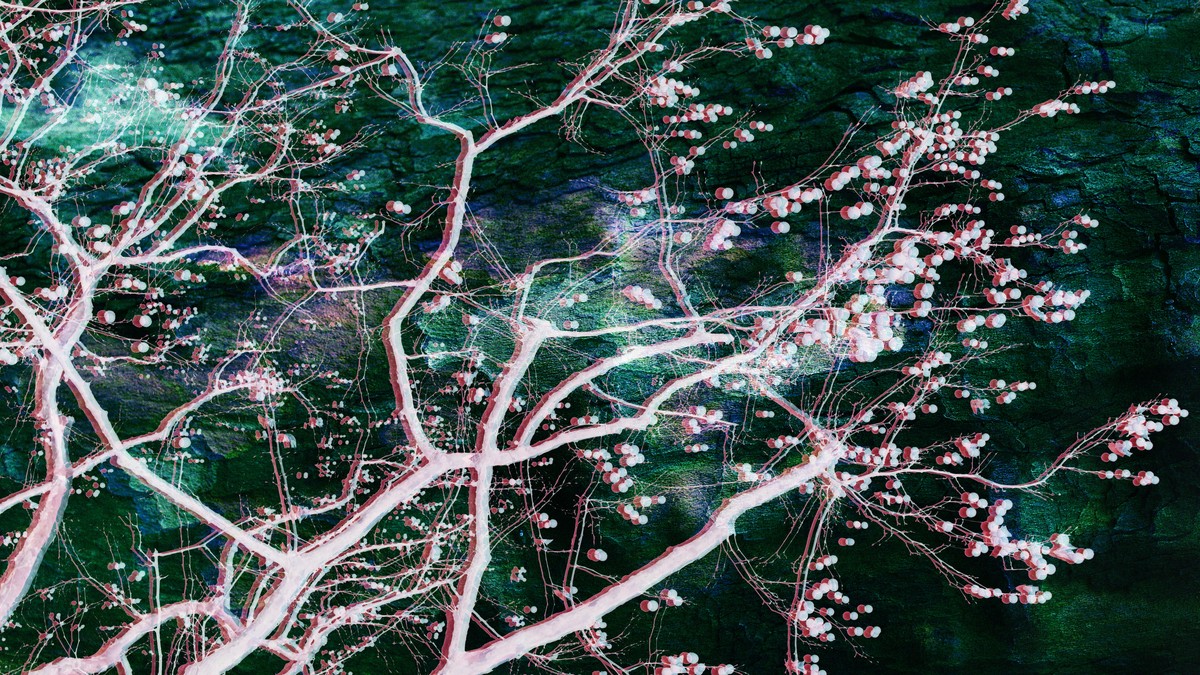 Monument aux arbres tombés / Monument to the fallen trees