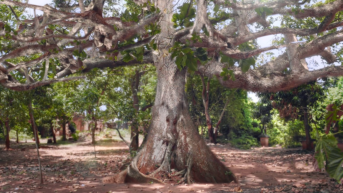 Lissa, a conversation with God