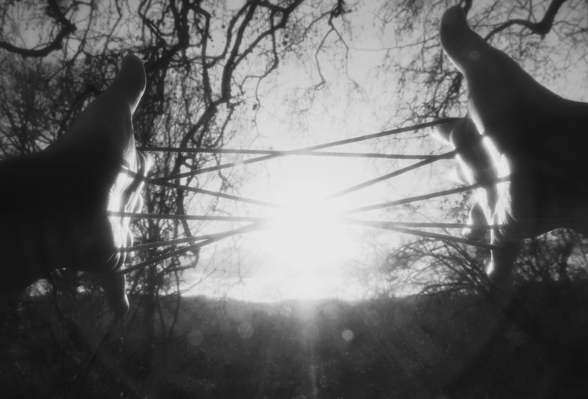 They Dream in My Bones / Insemnopedy II