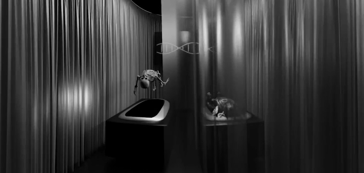 They Dream in My Bones / Insemnopedy II