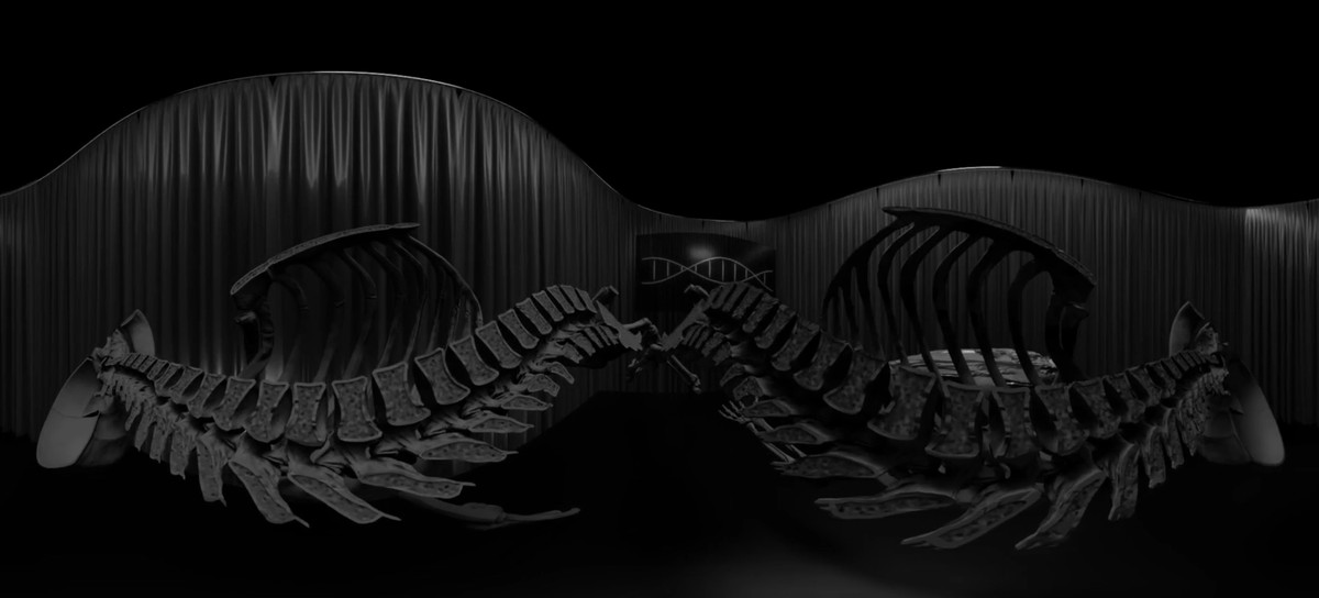 They Dream in My Bones / Insemnopedy II