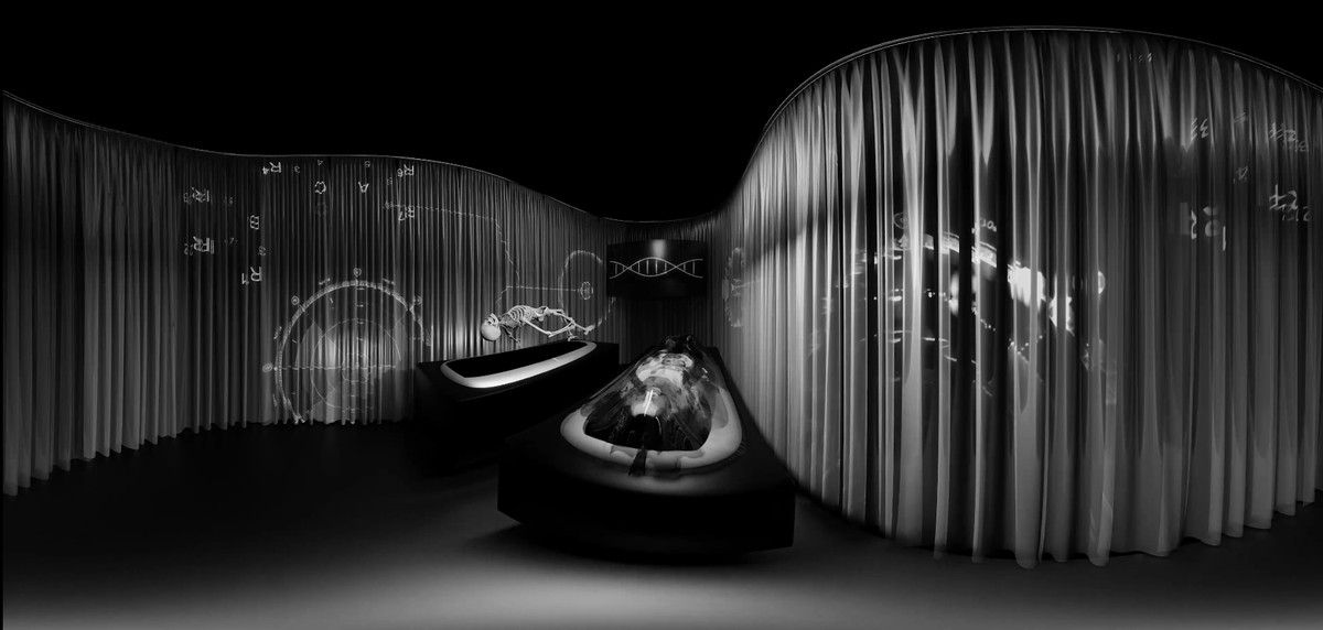 They Dream in My Bones / Insemnopedy II