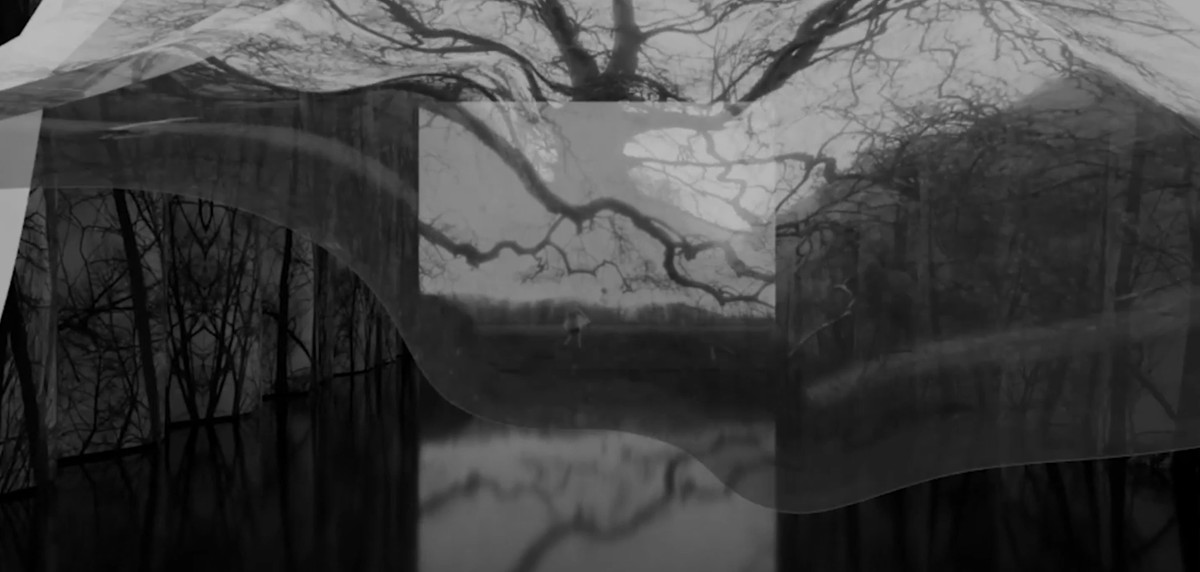 They Dream in My Bones / Insemnopedy II