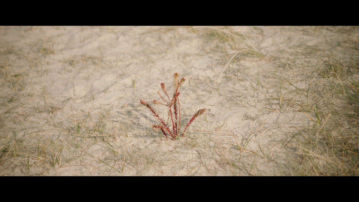 La Communauté des Larmes