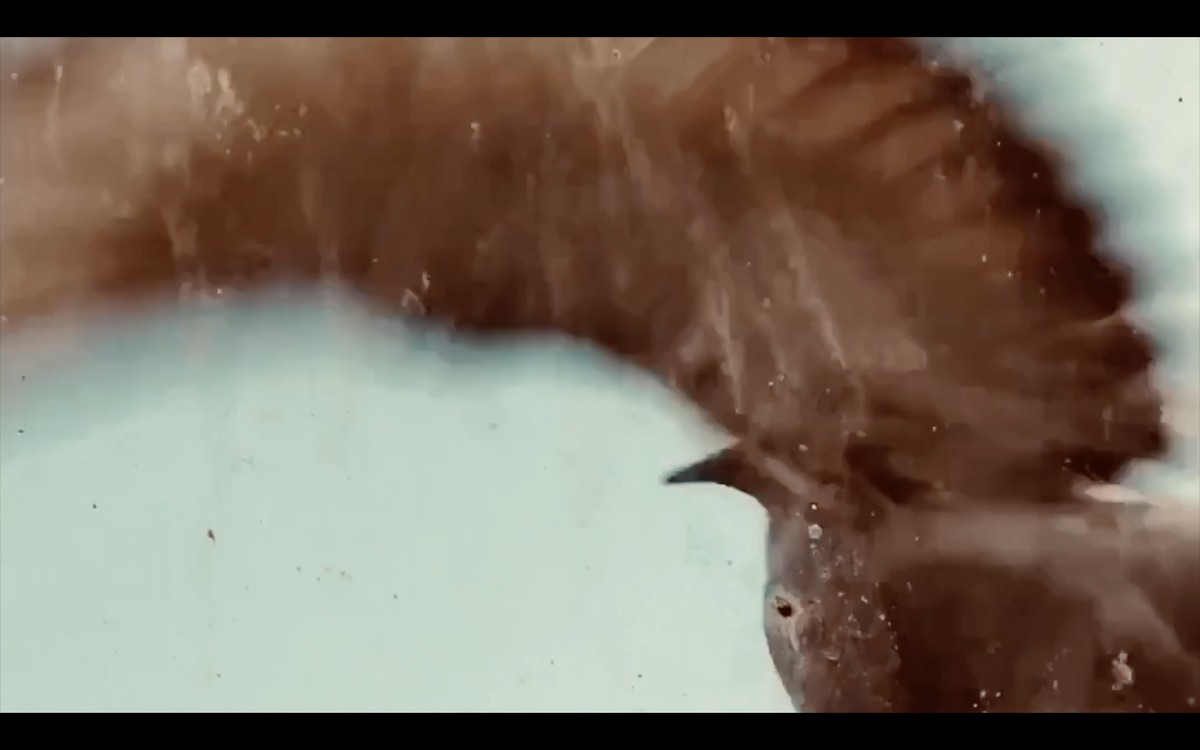 Méditation positive